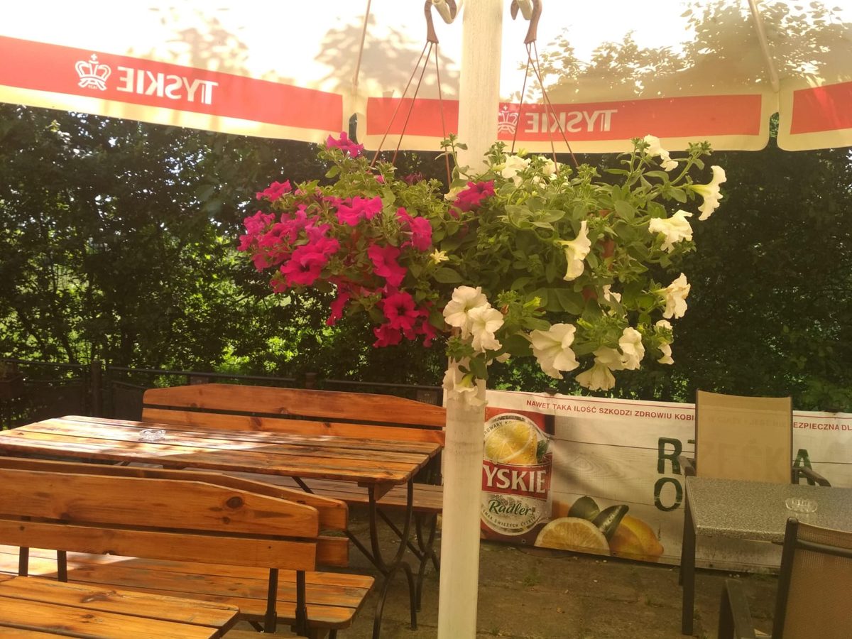 Bar z ogródkiem Dąbrowa Górnicza, ławy piknikowe i kwiaty