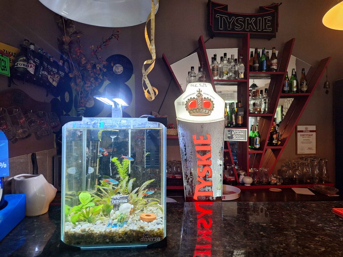 Wnętrze Bar Agawa, akwarium i beczka Tyskie